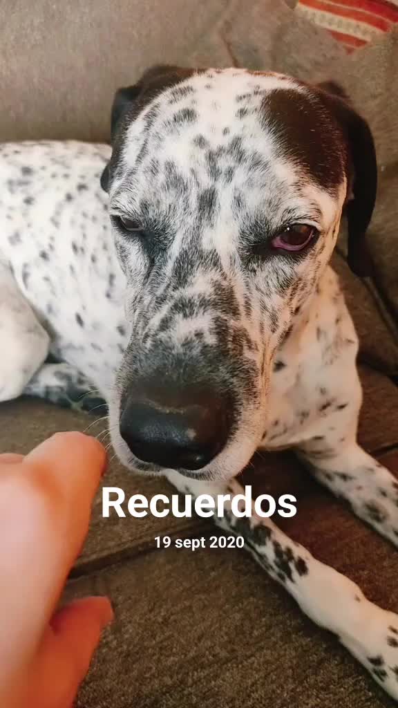 @fernanda.fifi.c