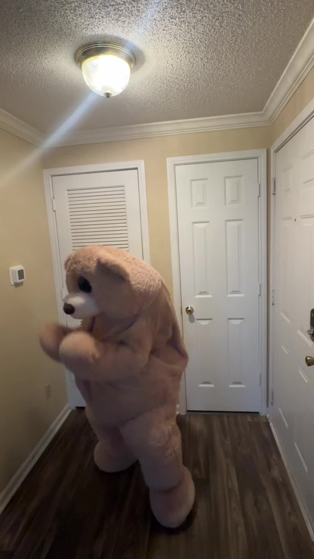 @jaythedancingbear