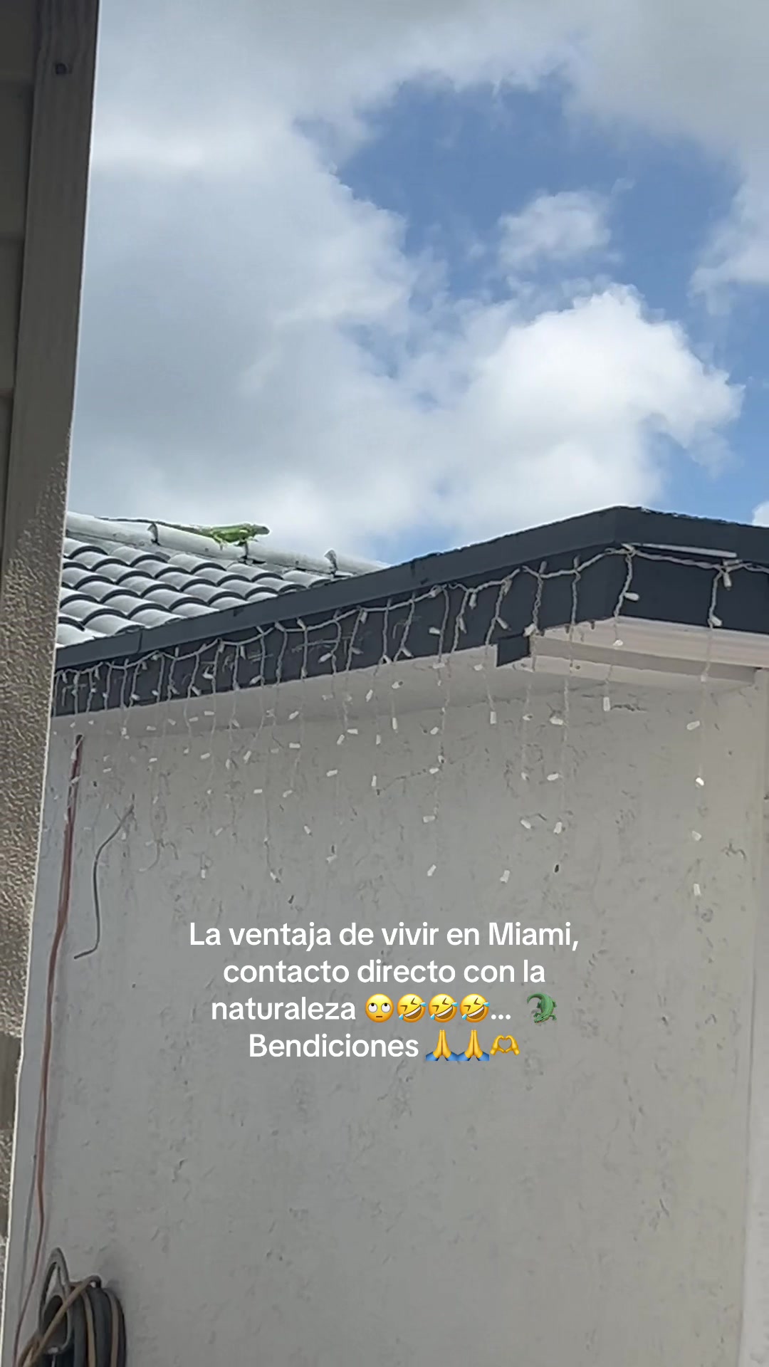 @Jose Ismael 🇨🇺 Las Vegas