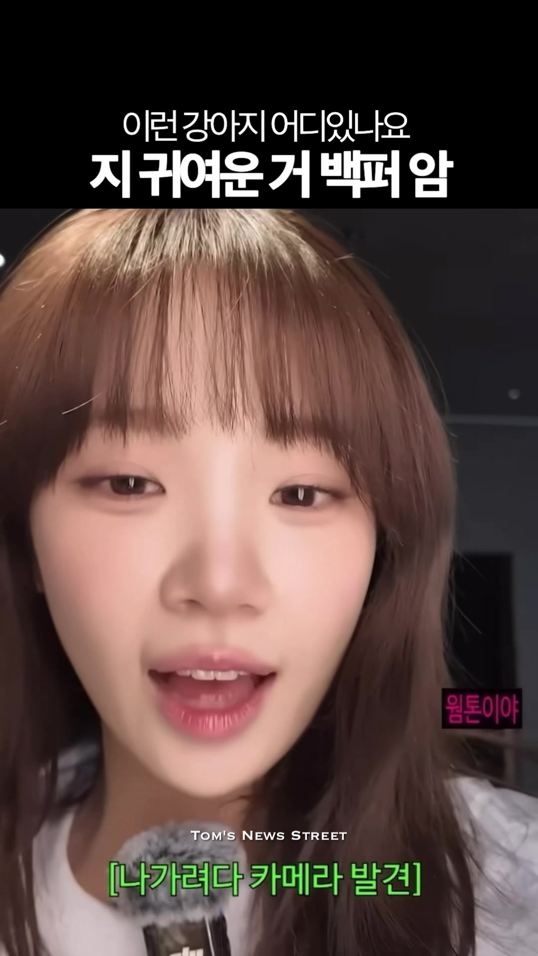 @톰뉴스