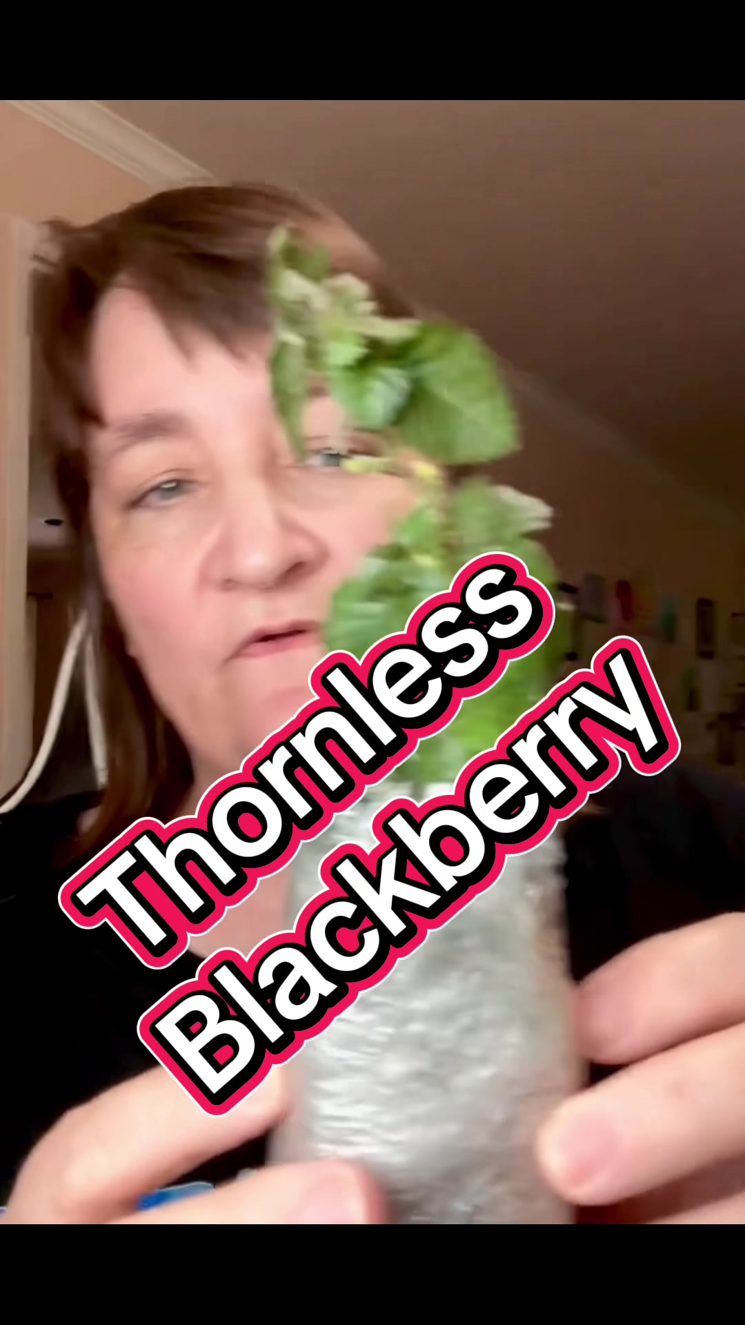 @BipolarButterfly