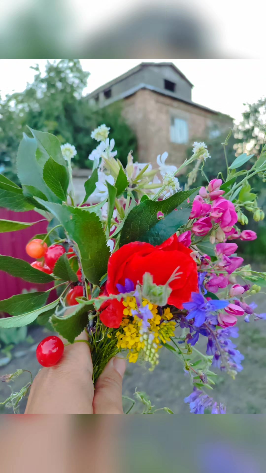 @Євгенія Павлюк 🇺🇦