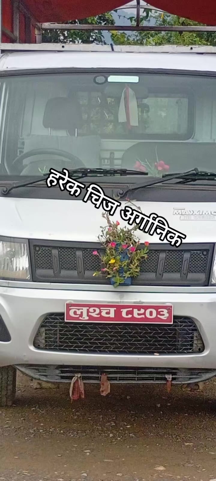 @Bn Shrestha