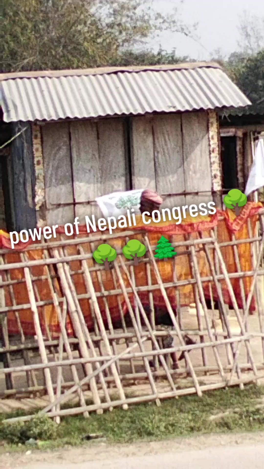 @Cricketarboy18