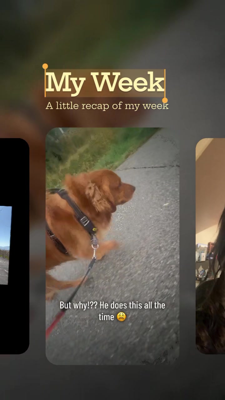 @Jenni