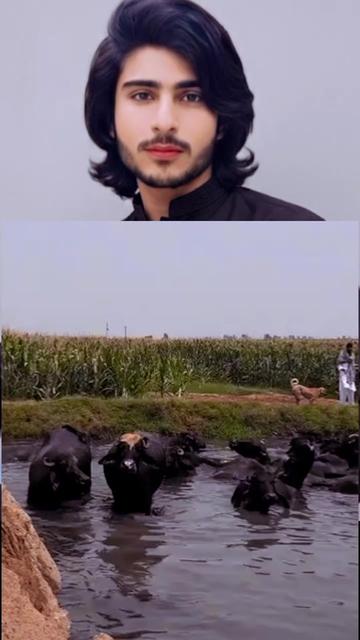 @MR JANI 0008