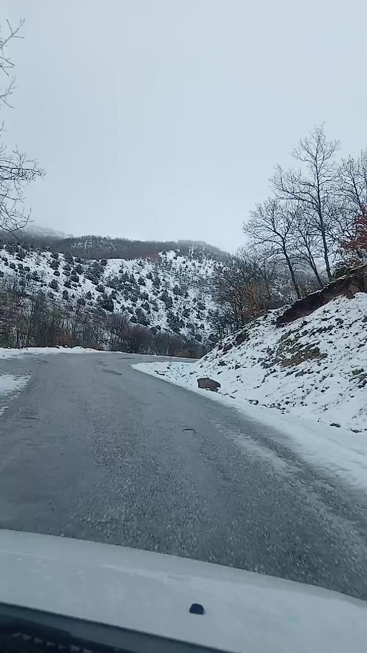 @Basoglu