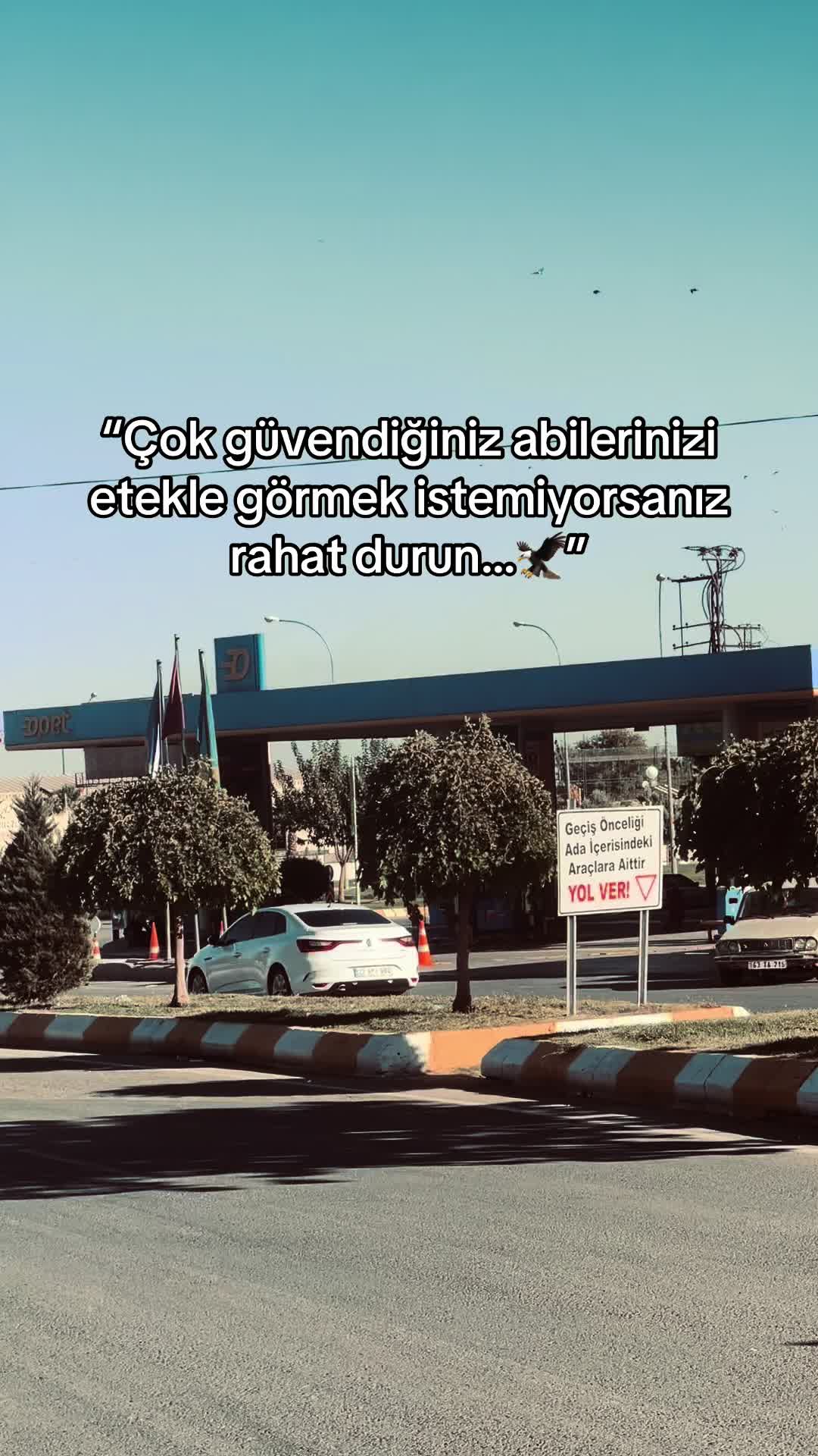 @✯𝓒𝓐𝓷𝓝 𝓢𝓮𝓡𝓸✯