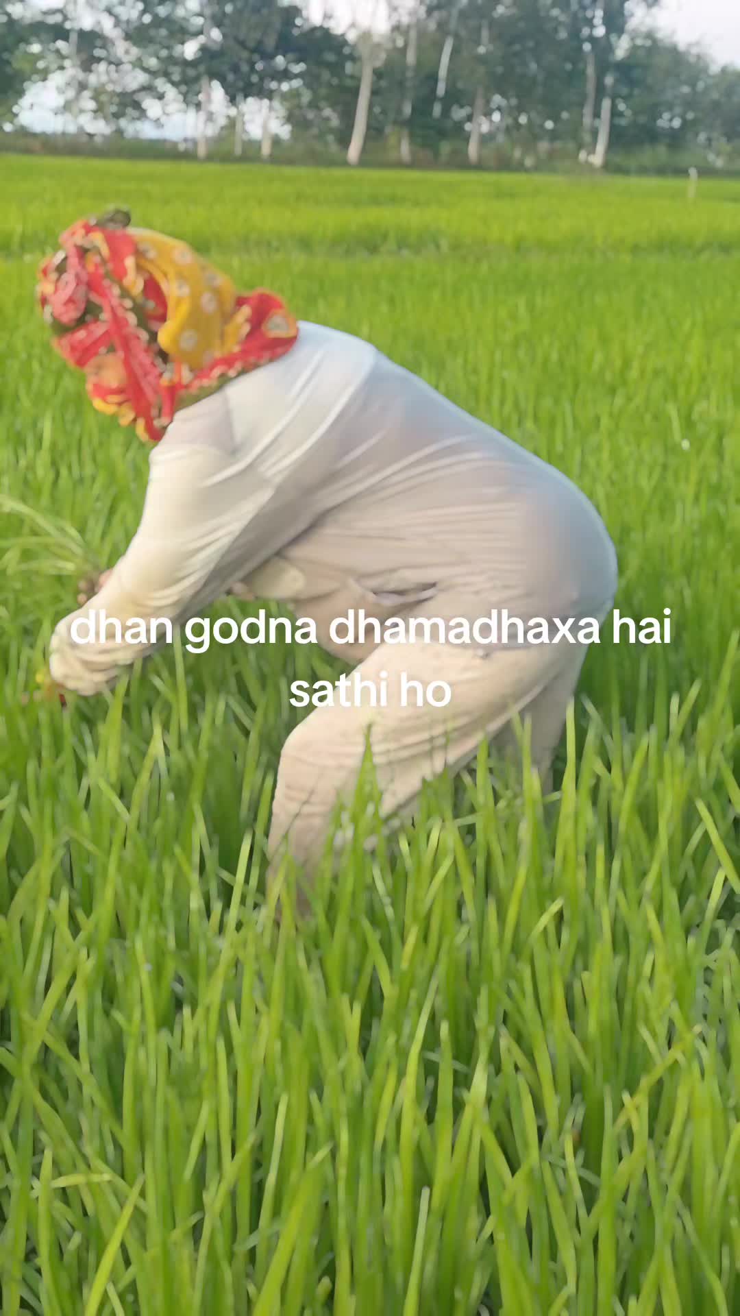 @devirai546dd