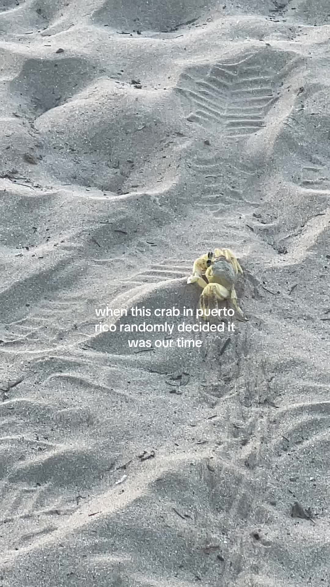 @N