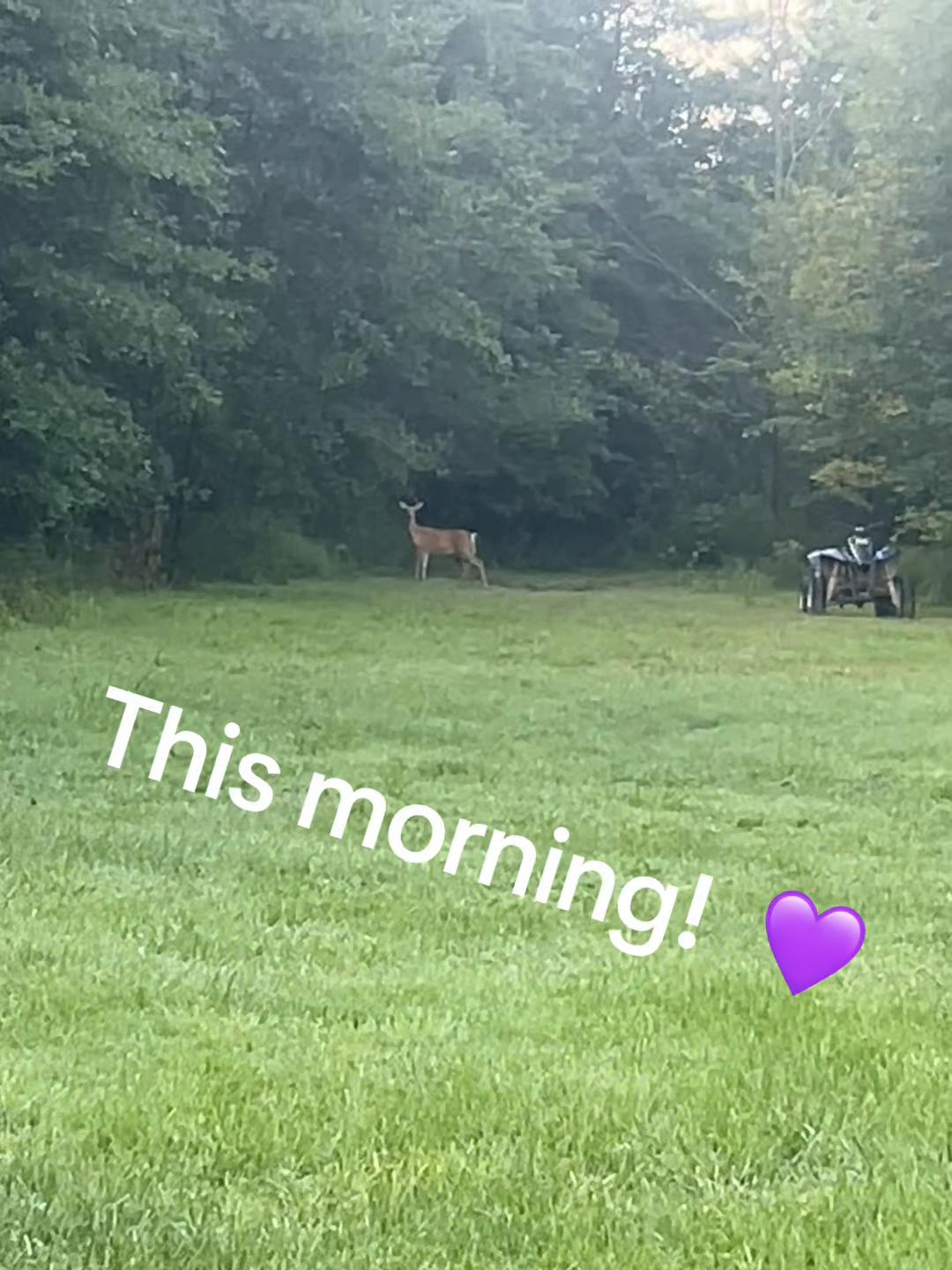 @FishTalesStories