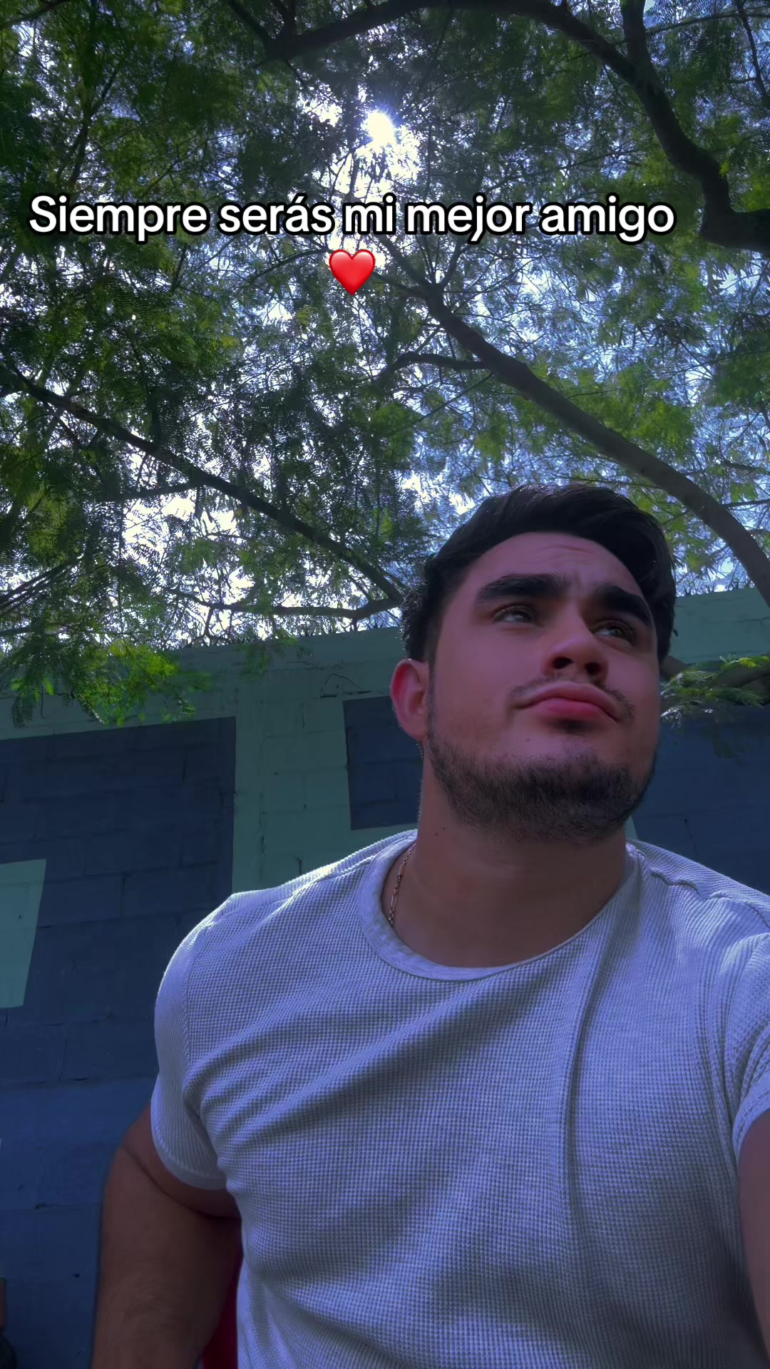 @Ra&uacute;l
