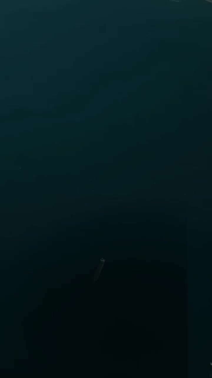 @🐺الذئب🐺المنفرد🐺
