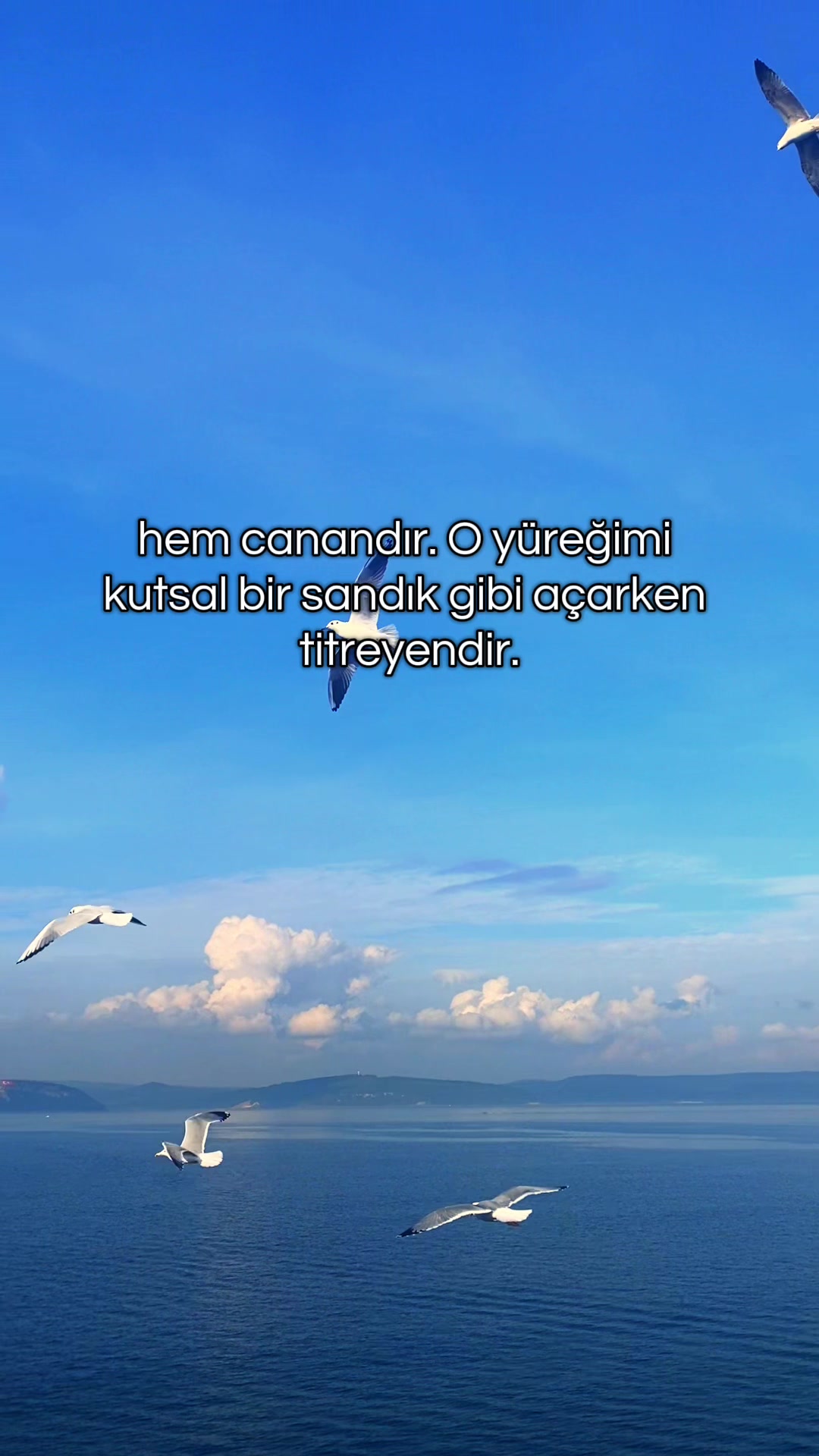 @Droneçekimigebze