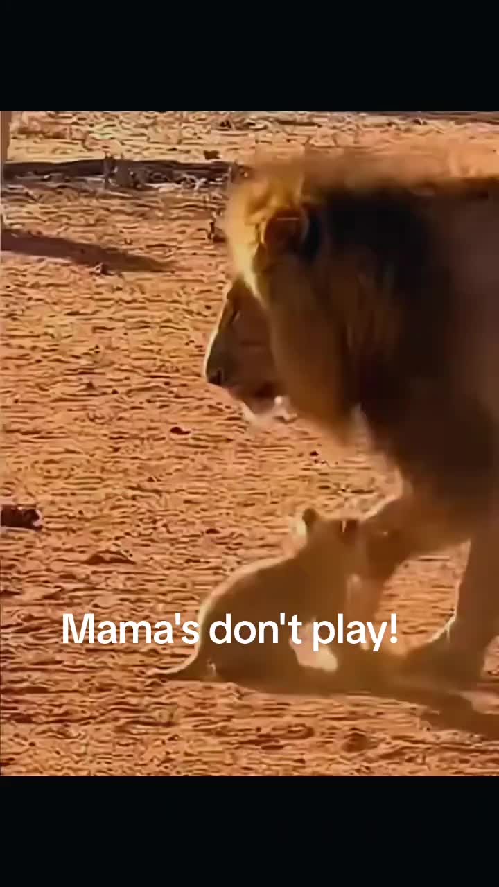 @account 17