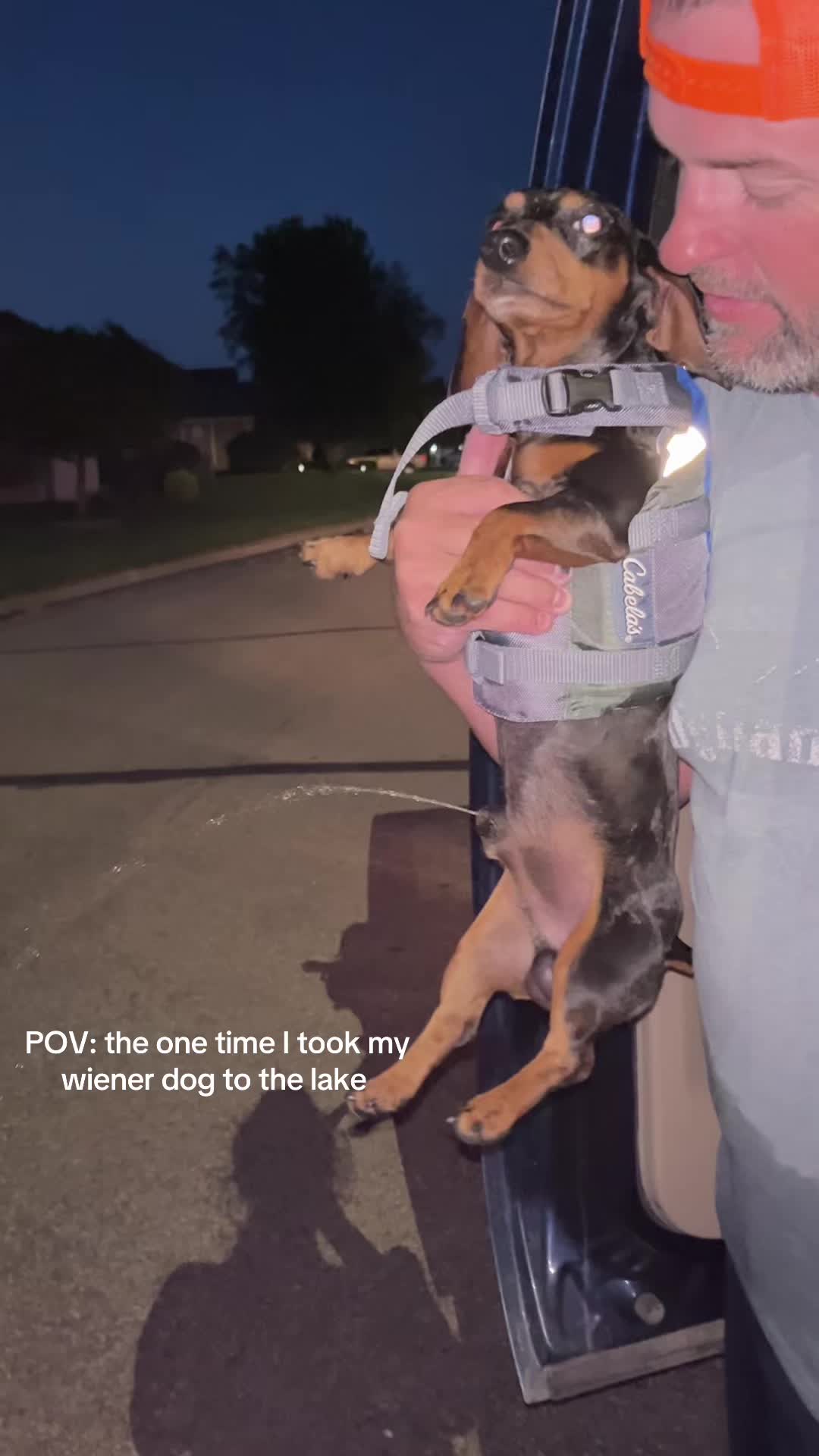 @Liv
