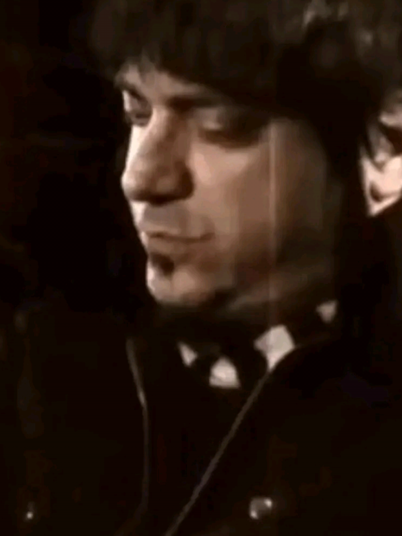 @𝓚itty ❤︎ 𝓢teve 𝓡igh♫♪🦑🐇