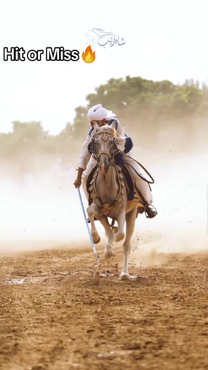 @RAJA SAQIB ALI SAQI