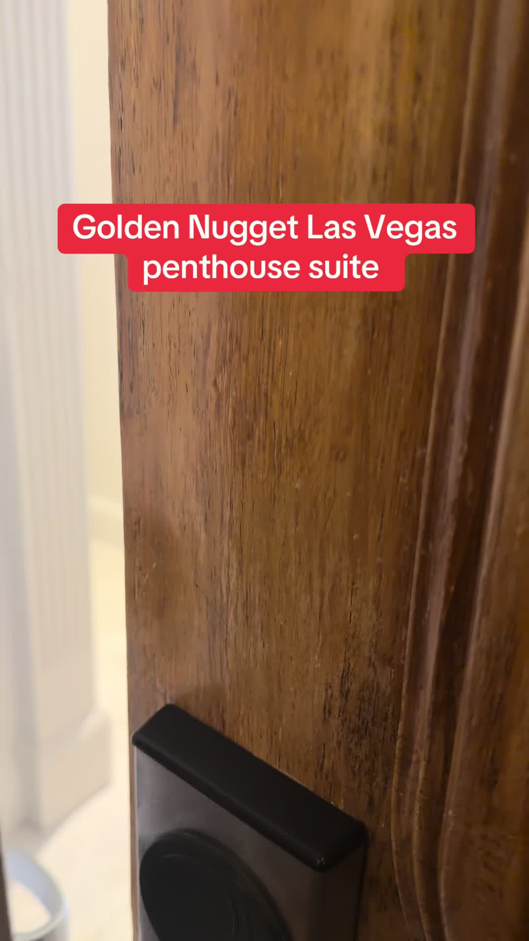 @The Vegaspaulyc show