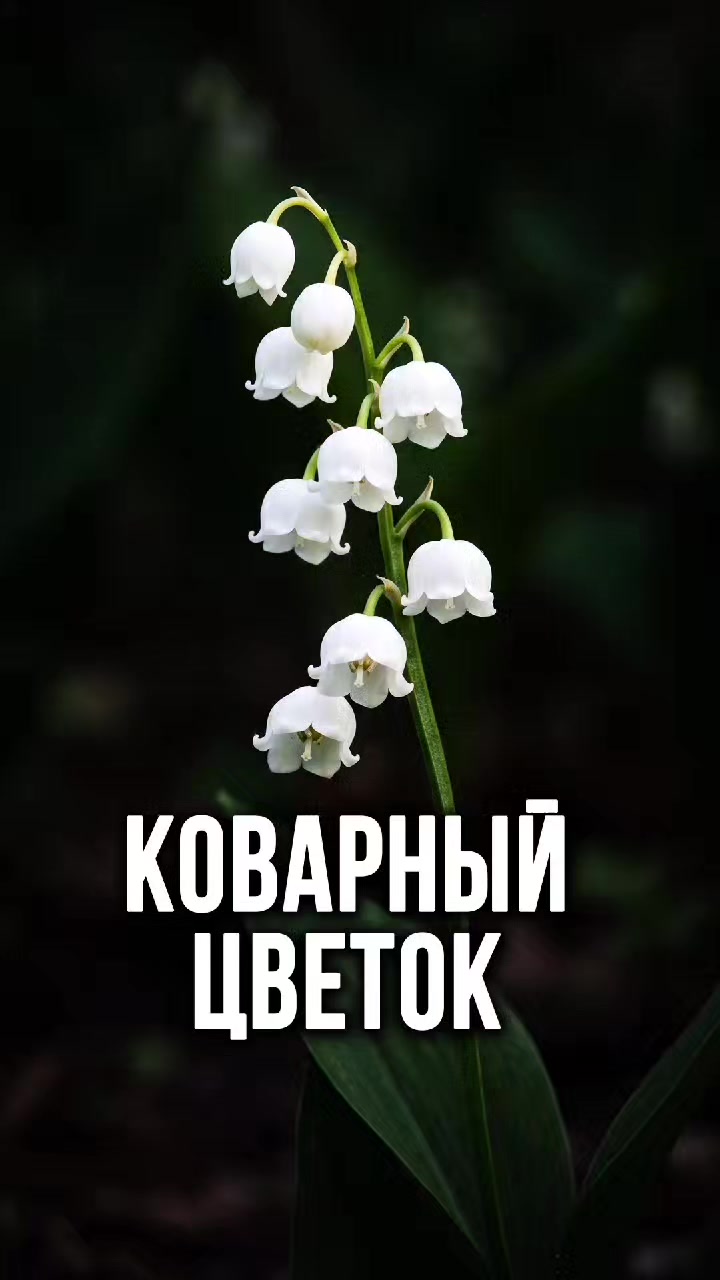 @ЗОЖнавигатор