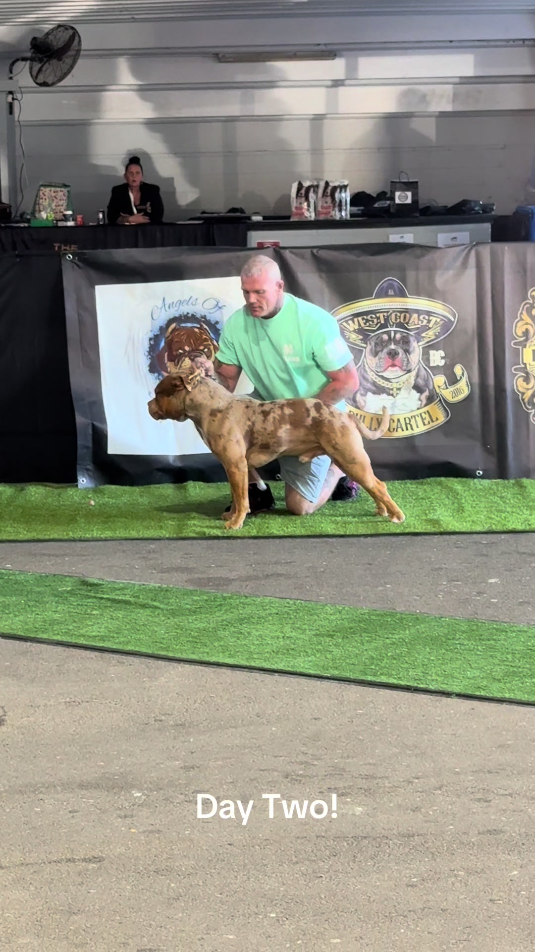 @Canine Conditioning