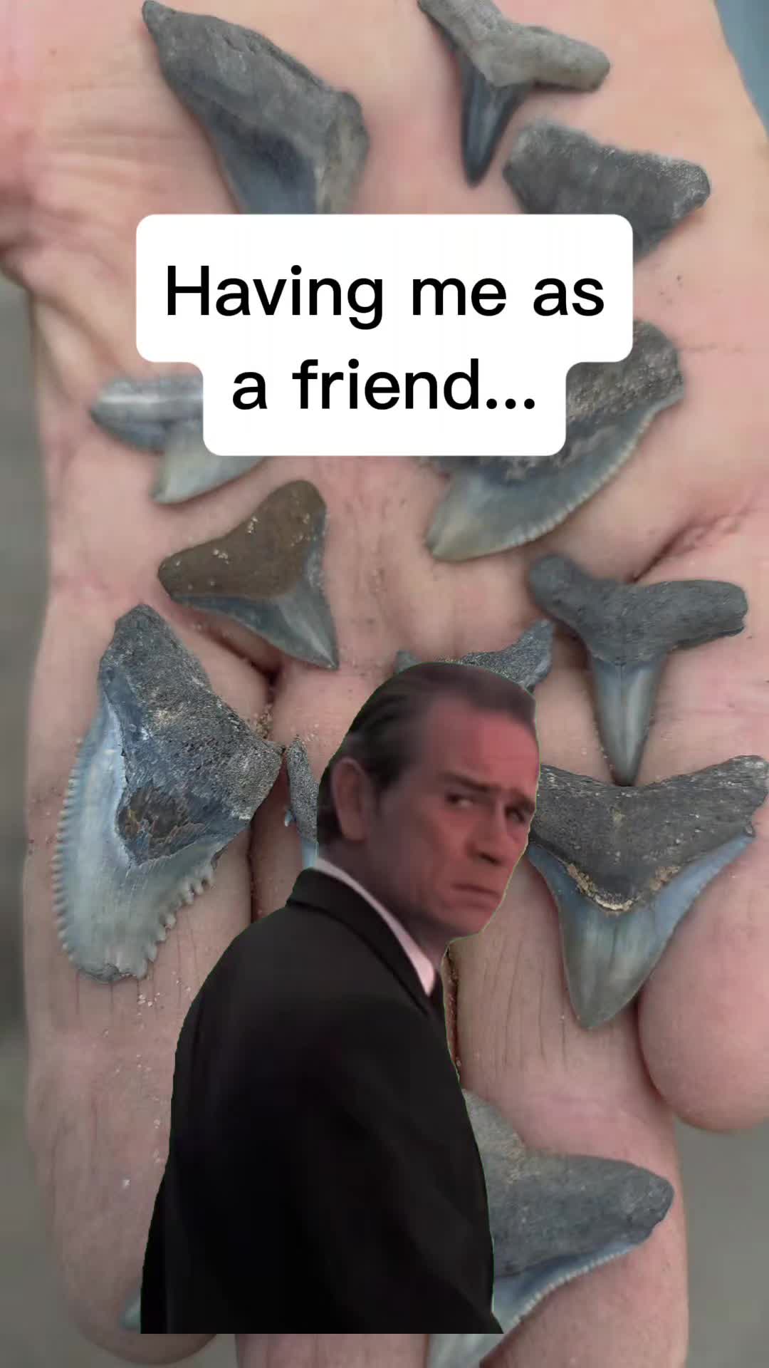 @RelicReef