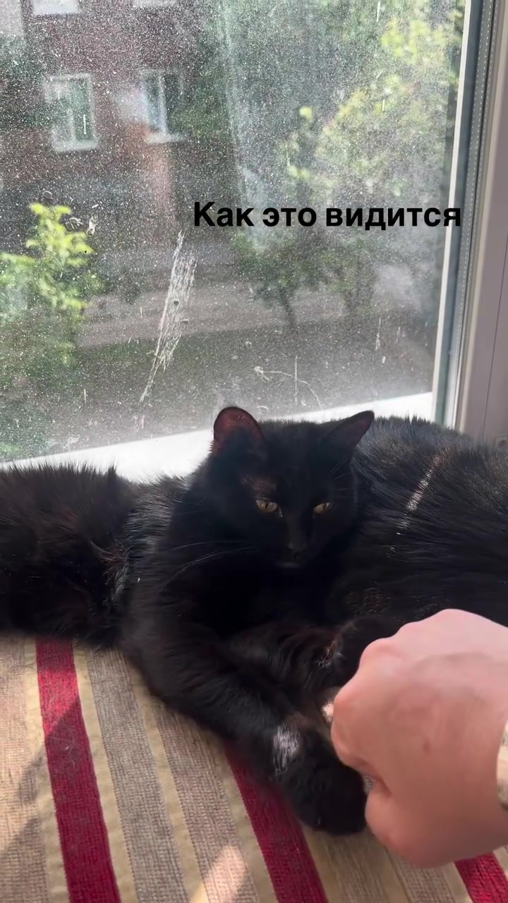 @Елена