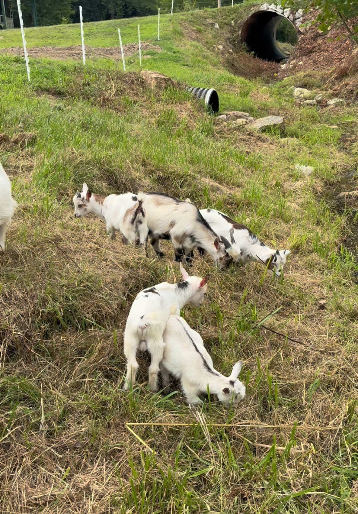 @Densmore Ranch