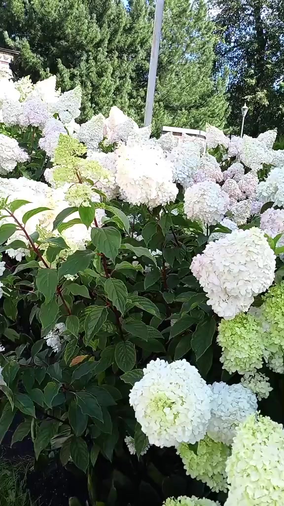 @Надежда Макарова