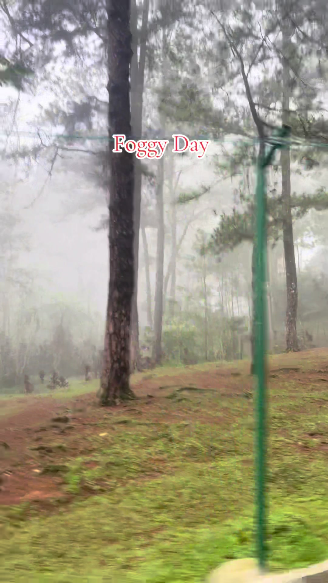 @Felicity ๐งโ๏ธ๐ Baguio Girl๐