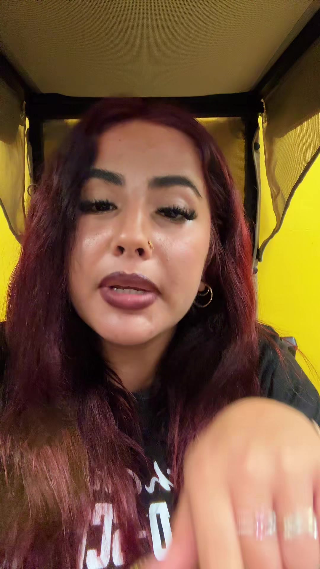 @spaminmelmel