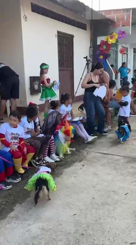 @BelitaPets