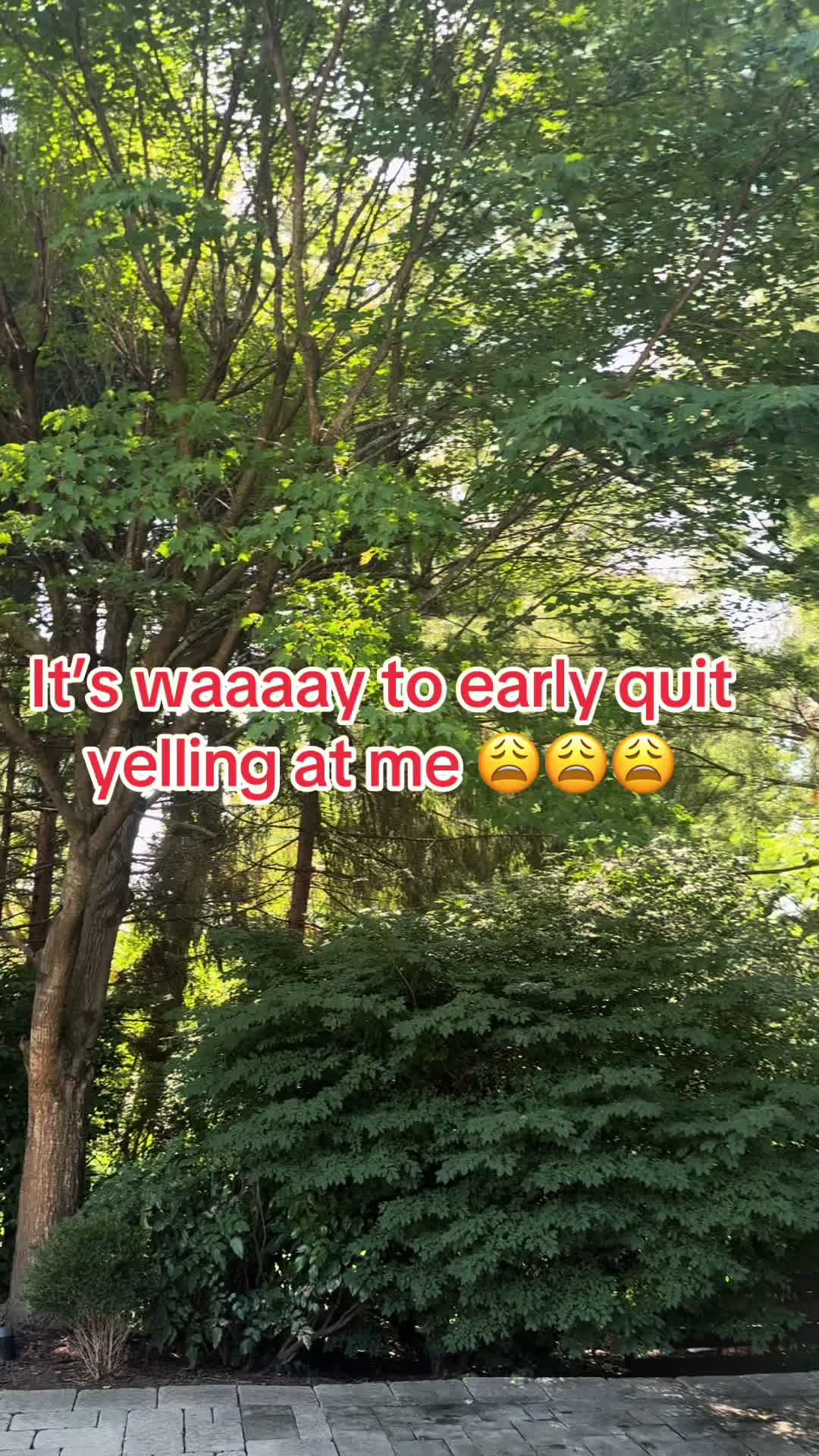 @AverageTickTock