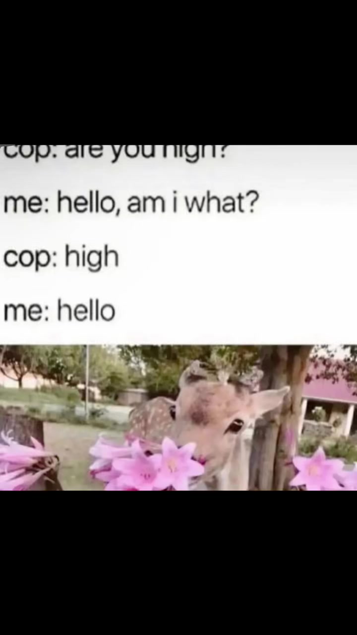 @𝄞