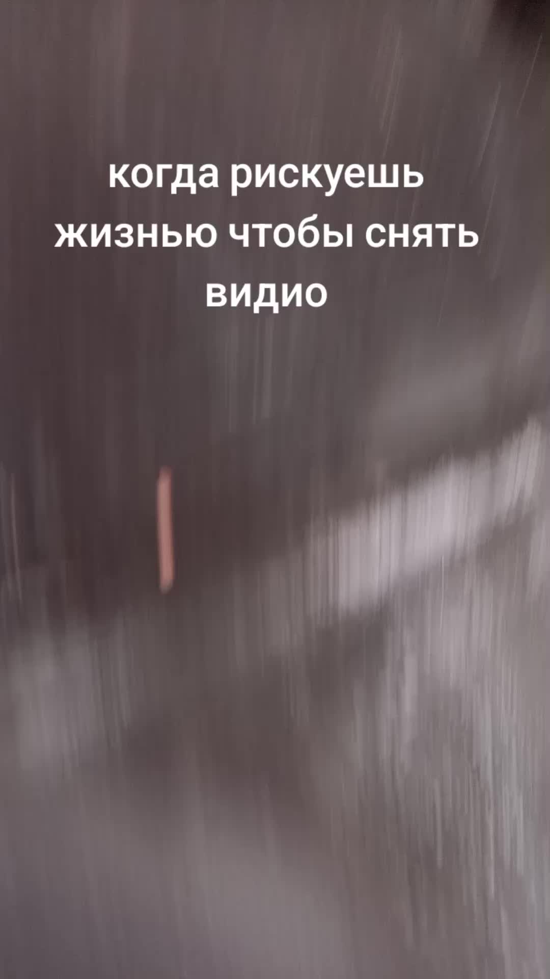 @🚷kVASIK🚷