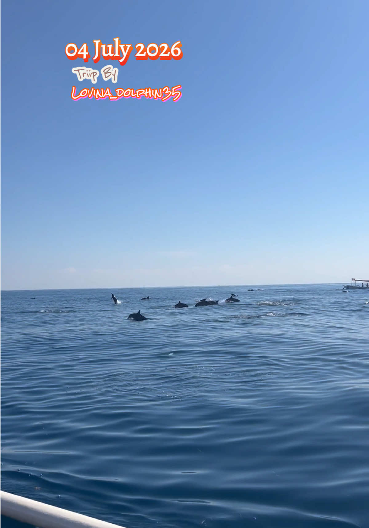 @𝙇𝙤𝙫𝙞𝙣𝙖_𝙙𝙤𝙡𝙥𝙝𝙞𝙣35