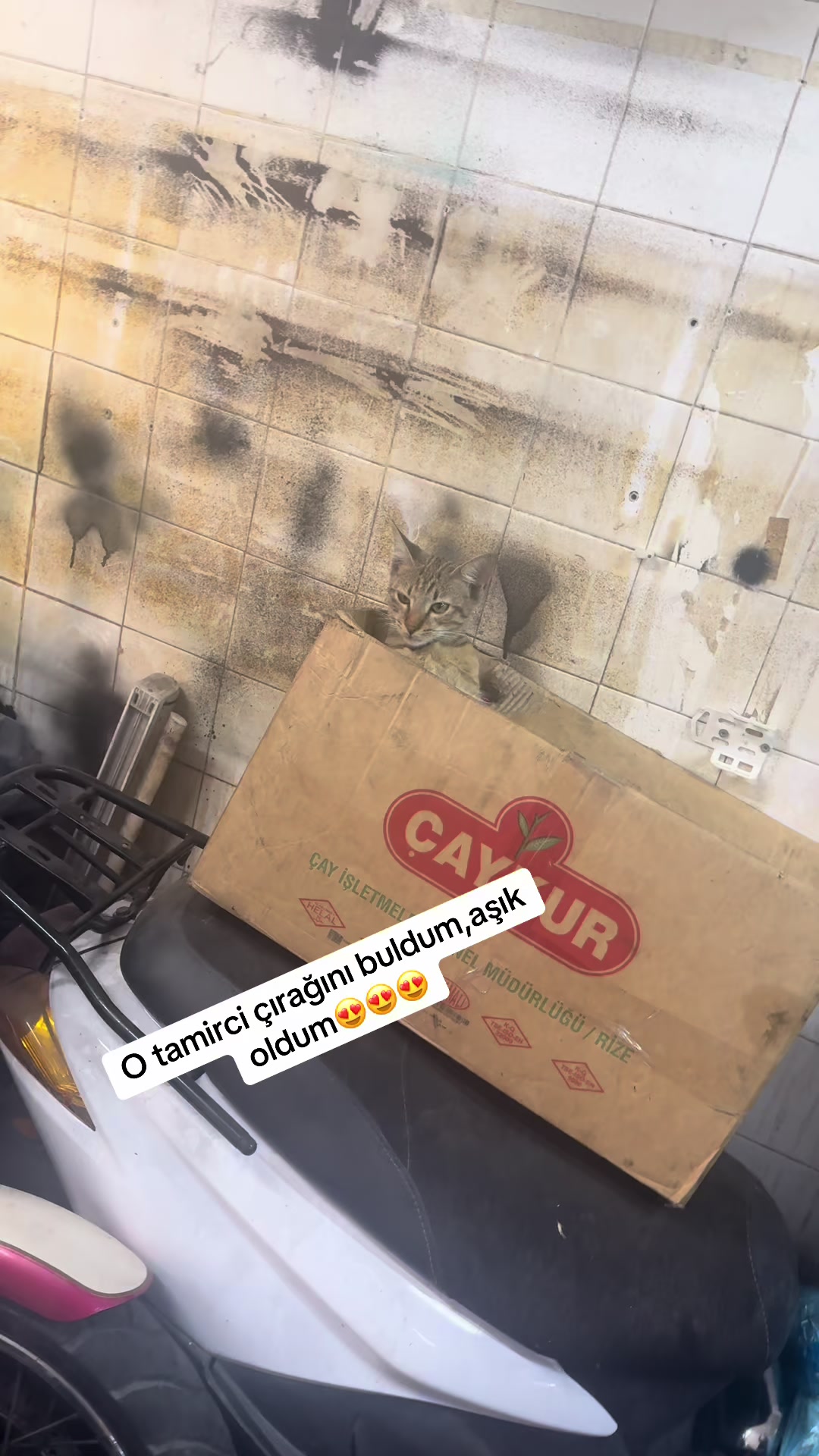 @Emine Yılmaz