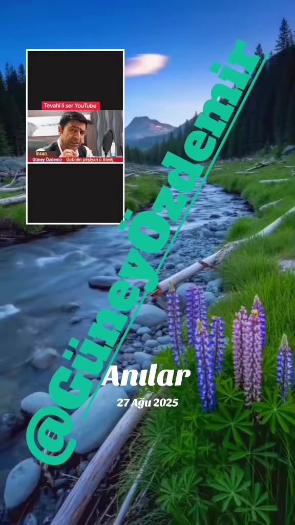 @VANLI ___ACAR@DEKOR