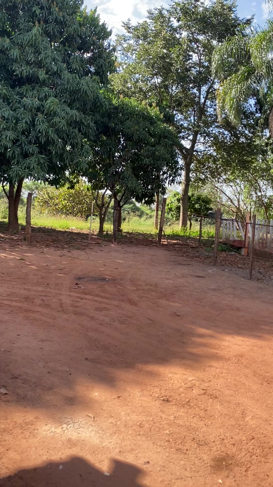 @ÍNDIO DO AGRO 🚜🌱