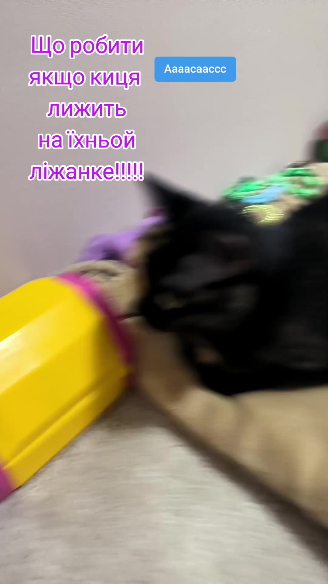@Гіперактивні видри