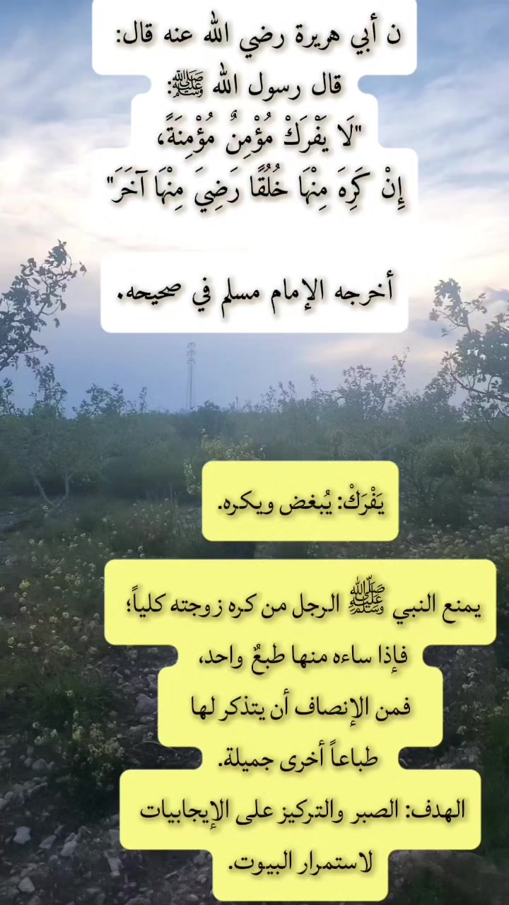 @مشكاة
