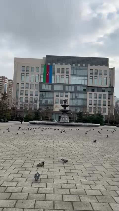 @Nuray Aliyeva