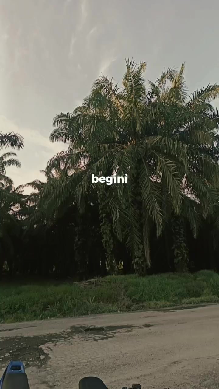 @sahrilco