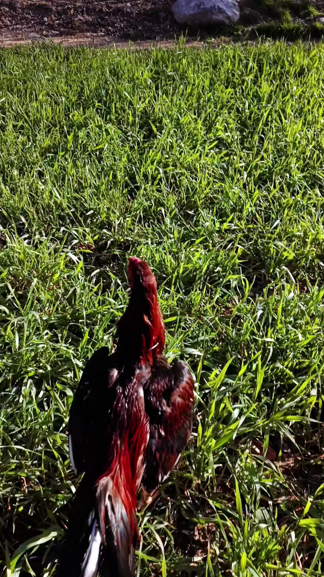 @H&uuml;seyin _t&uuml;fekli 🦅