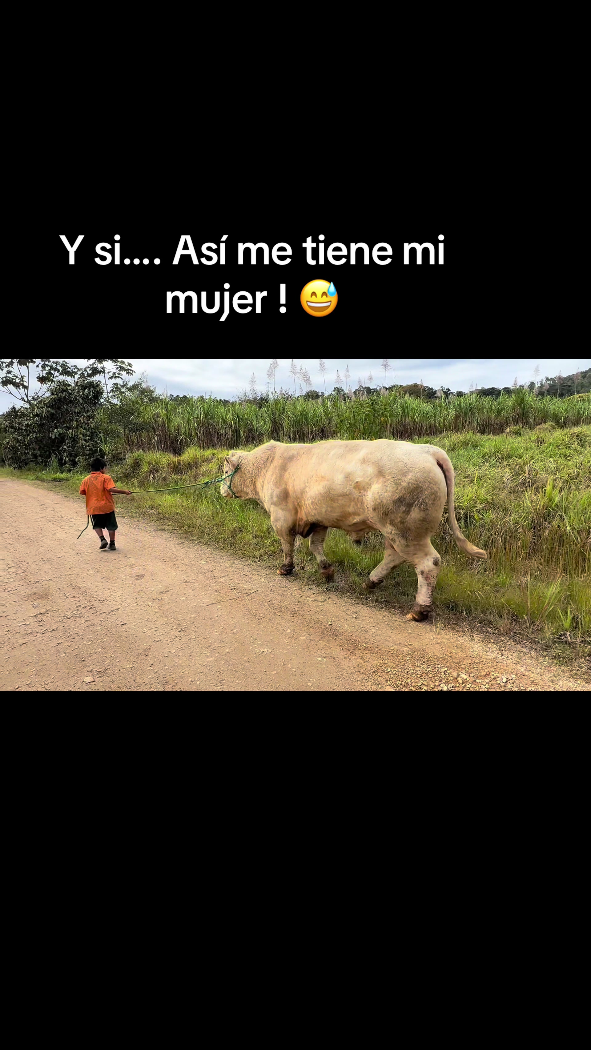 @Hern&aacute;n Andres
