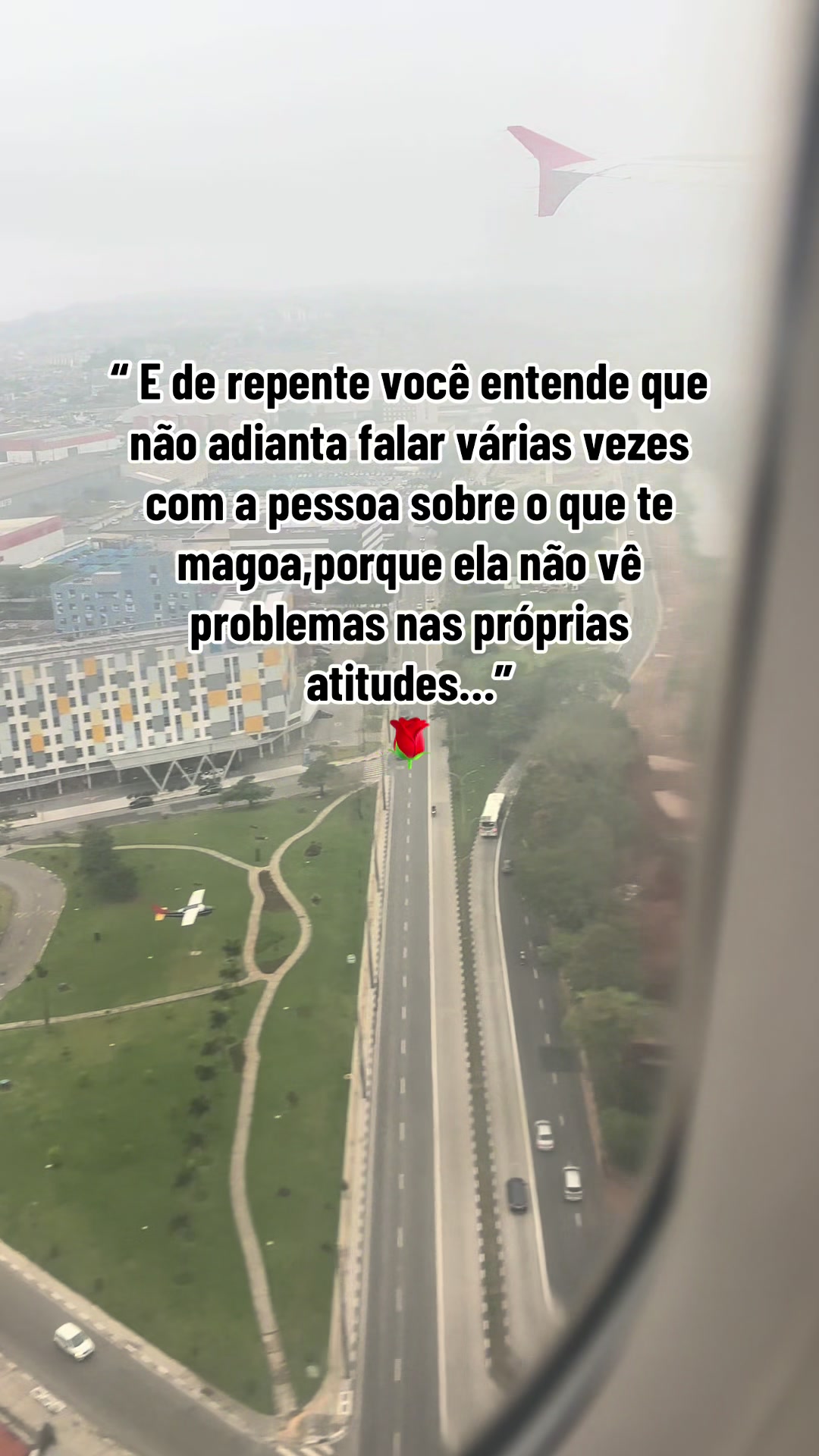 @Adriele Caldeira