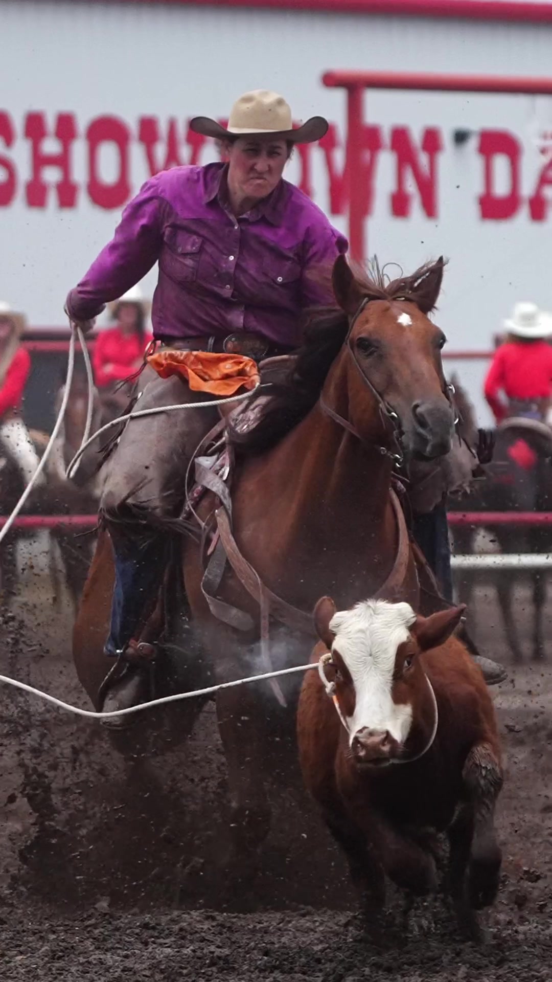 @Hanginghorses