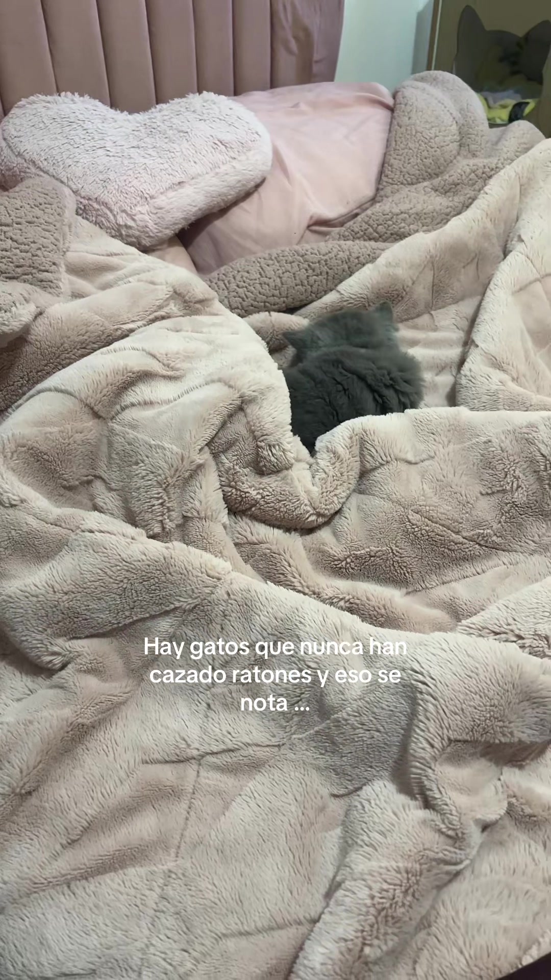 @Deya Soto💖