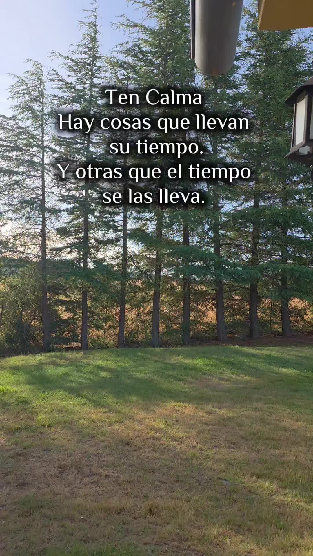 @Esmeralda