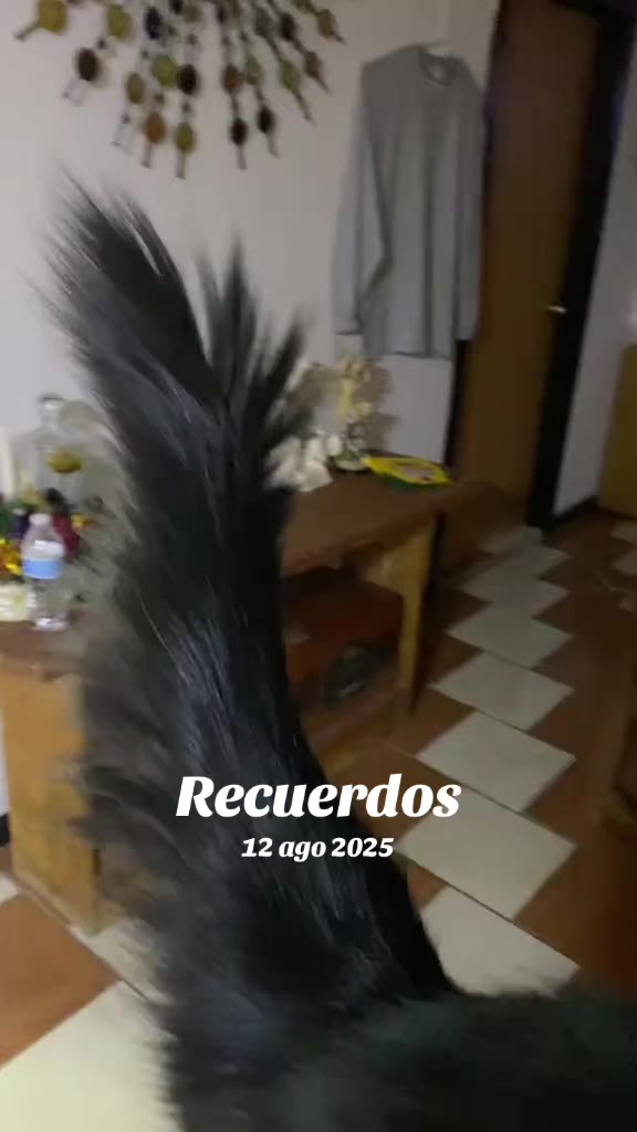 @Alondrita🩷